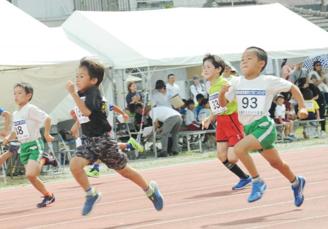 【申込開始】第39回名護市ワラビンピック